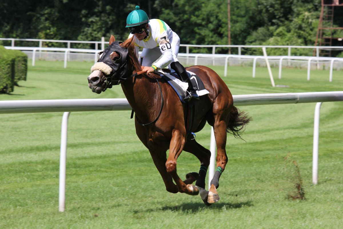 競馬レースのイメージ